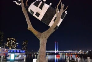 Melbourne: Nocna prywatna wycieczka po mieście z transferem i przystankami
