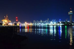 Melbourne: Nocna prywatna wycieczka po mieście z transferem i przystankami