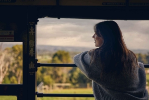 Melbourne: Puffing Billy Railway & Penguin Parade Day Tour