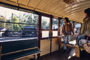 Melbourne: Puffing Billy Railway & Penguin Parade Day Tour