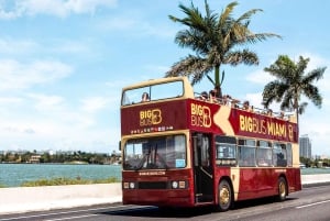 Miami: Hop-on hop-off busstur med åpen topp og valgfri cruise