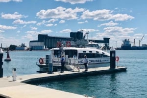 Newcastle: Guidad kryssning för valskådning och hamntur