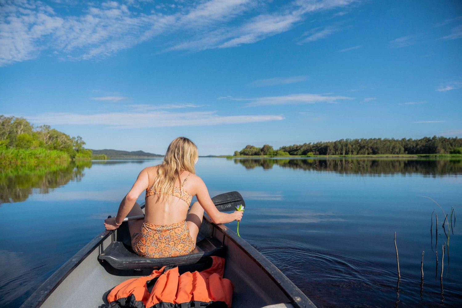 Noosa: Everglades Explorer-cruise med valgfri kanopadling