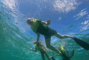 オラニエスタッド：マンゲル・ハルトとベビービーチ シュノーケリングツアー