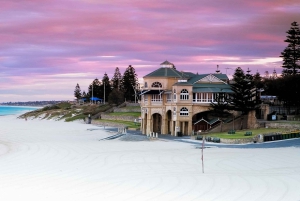 Perth: Strandene i Perth, piknik ved solnedgang, City Lights-tur
