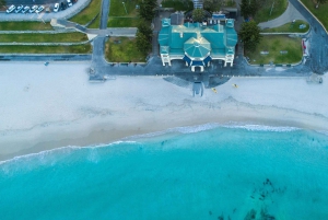 Perth: Strandene i Perth, piknik ved solnedgang, City Lights-tur