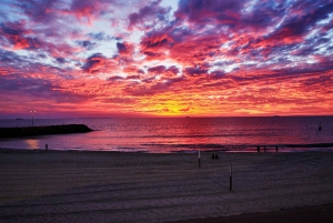 Perth: Strandene i Perth, piknik ved solnedgang, City Lights-tur
