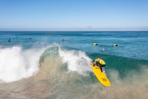 Perth: Strandene i Perth, piknik ved solnedgang, City Lights-tur