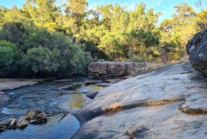 Perth: Excursão de caminhada pelas joias escondidas com almoço e cidra