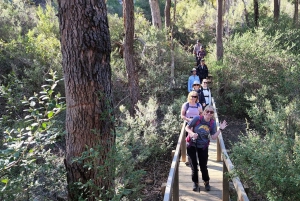 Perth: Verborgen juweeltjes van Perth Wandeltocht met lunch