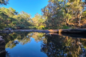 Perth: Verborgen juweeltjes van Perth Wandeltocht met lunch