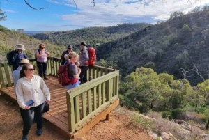 Perth: Verborgen juweeltjes van Perth Wandeltocht met lunch