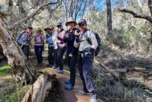 Perth: Verborgen juweeltjes van Perth Wandeltocht met lunch