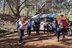 Perth: Verborgen juweeltjes van Perth Wandeltocht met lunch