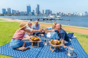 Perth: Wasserflugzeug-Rundflug mit Käseplatte und Champagner