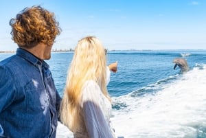 Perth : Nager avec les dauphins sauvages