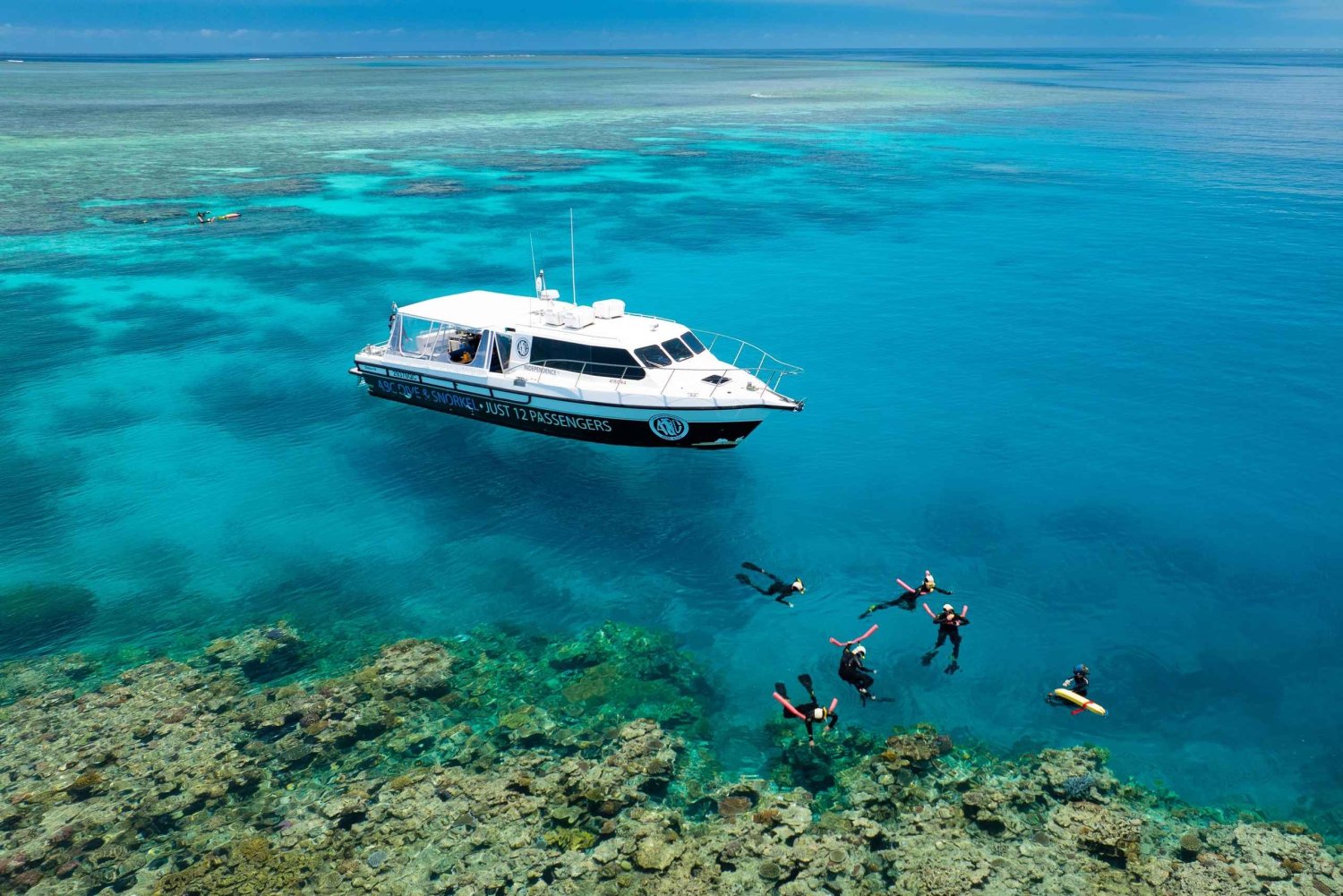 Port Douglas: Guidet snorkelcruise med bare 12 passasjerer