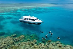 Порт Дуглас: круиз с гидом по рифам для 12 пассажиров с подводным плаванием