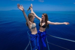 Порт Дуглас: круиз с гидом по рифам для 12 пассажиров с подводным плаванием