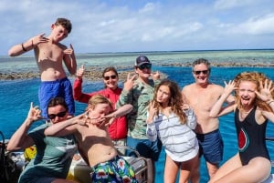 Порт Дуглас: круиз с гидом по рифам для 12 пассажиров с подводным плаванием