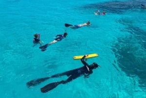 Порт Дуглас: круиз с гидом по рифам для 12 пассажиров с подводным плаванием