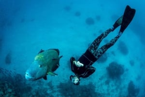 Порт Дуглас: круиз с гидом по рифам для 12 пассажиров с подводным плаванием