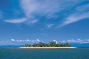 Port Douglas: Douglas: Low Isles iltapäiväristeily ylellisellä katamaraanilla.