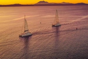 Port Douglas: Douglas: Low Isles iltapäiväristeily ylellisellä katamaraanilla.