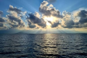 Port Douglas: Douglas: Low Isles iltapäiväristeily ylellisellä katamaraanilla.