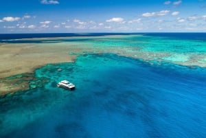 Port Douglas: Opzioni per lo snorkeling e le immersioni nella barriera corallina esterna