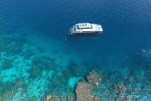 Port Douglas: Opzioni per lo snorkeling e le immersioni nella barriera corallina esterna