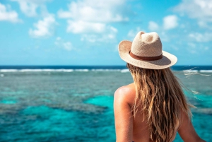 Port Douglas: Opzioni per lo snorkeling e le immersioni nella barriera corallina esterna