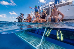 Port Douglas: Snorkel- en duikopties voor het Buiten Barrièrerif
