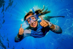 Port Douglas: Snorkel- en duikopties voor het Buiten Barrièrerif