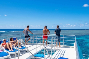 Port Douglas: Snorkel- en duikopties voor het Buiten Barrièrerif