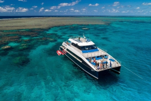 Port Douglas: Snorkel- en duikopties voor het Buiten Barrièrerif