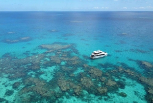 Port Douglas: Outer Great Barrier Reef Snorkeling Cruise