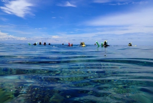 Port Douglas: Outer Great Barrier Reef Snorkeling Cruise