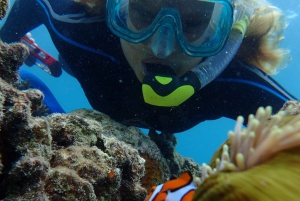 Port Douglas: Outer Great Barrier Reef Snorkeling Cruise