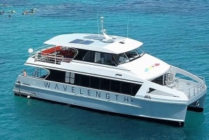 Port Douglas: Outer Great Barrier Reef Snorkeling Cruise