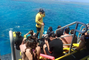 Port Douglas: Outer Great Barrier Reef Snorkeling Cruise