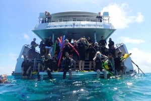 Port Douglas: Outer Great Barrier Reef Snorkeling Cruise