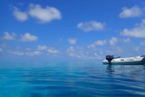 Port Douglas: Outer Great Barrier Reef Snorkeling Cruise