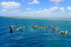 Port Douglas: Outer Great Barrier Reef Snorkeling Cruise