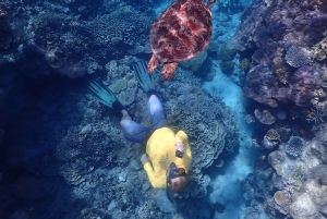 Port Douglas: Outer Great Barrier Reef Snorkeling Cruise