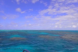 Port Douglas: Outer Great Barrier Reef Snorkeling Cruise