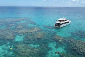 Port Douglas: Outer Great Barrier Reef Snorkeling Cruise