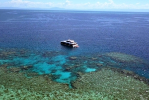Port Douglas: Premium Outer Reef Dive Trip
