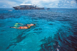 Port Douglas: Quicksilver Outer Barrier Reef Full-Day Cruise