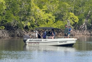 Port Douglas: Sportfischerei-Charter zum Riff und in die Flussmündung